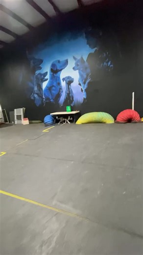 8.6K views · 325 reactions | As much as possible, training is a...