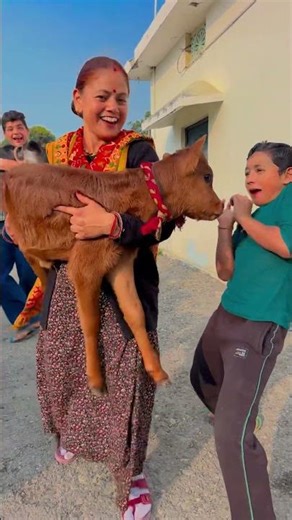 Gangnam style ❤️🙏 #shorts #shortvideos #funny #thebnfamily