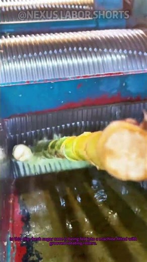 How to Extract Sugar Cane Juice with Machine #Shorts