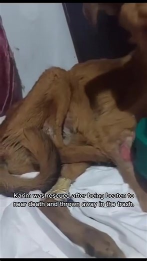 108K views · 15K reactions | KARIM LOST HIS BATTLE  This is such a...