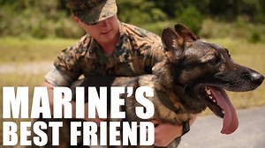These dogs are more than tools, they’re a Marine’s best friend. (U.S. Marine Corps video by Lance Cpl. Danielle Abshire) | U.S. Marine Corps