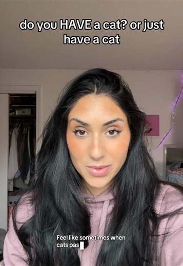 does this make sense #cats #catsoftiktok #catlover #petsoftiktok #cat | cats