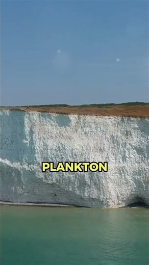 🤍 England's Giant White Cliffs Have a Tiny Secret! 😱 || #facts #earthfacts @WonderFlux