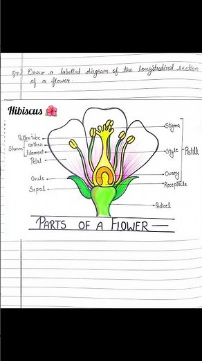 How do organisms reproduce? Chapter-7, Class X Science Q/A pdf #class10 #ncert #rbse #10million