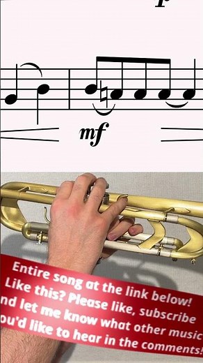 Don't Cry For Me Argentina - Andrew Lloyd Webber - Trumpet Solo #trumpetsolo #evita