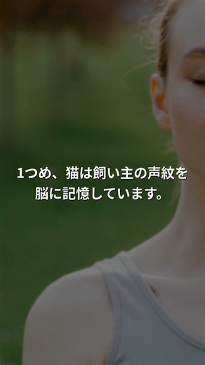 猫があなたの名前を覚えている本当の理由3つ