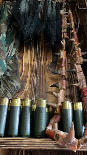 springlegion on TikTok