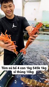 Tôm sú hổ 4 con 1kg sĩ thùng 10kg #tomsugiasi #tomsunhiennhien #tomsu #tomsubien | VUA Hải Sản Sỉ Toàn Quốc