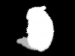 How to get a LightMatter chomik