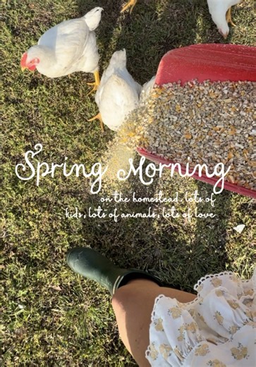 Spring Mornings & RSV Recovery