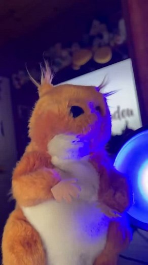 Encore une belle prestation de Scratch 🐻💕🥲 #humour | Studio Doudou