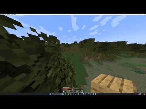 Java-runtime-gamma 2024.06.08 - 15.16.49.03.DVR.mp4