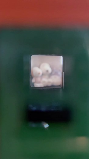 Exploring Snoopy-Themed Polaroid Cameras and Unboxing Experience