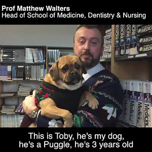 We're celebrating the 'Year of the Dog' today by sharing our favourite videos involving our four legged friends. Toby the Puggle might be one of the cutest dogs out there. Happy Chinese New Year! 🐶🇨🇳 UofG Medical students had a surprise visit from Toby the Puggle. Best exam stress relief ever! 🐶 | University of Glasgow