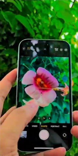iPhone 13 vs Samsung s23 ultra camera tasting