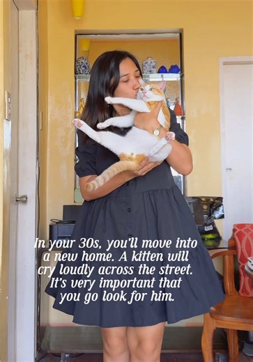 Living Alone with a Rescue Cat: A Heartwarming Journey