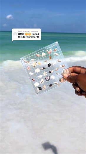 display your tiny shells this summer 🐚 #fyp #seashells #beach #shelling #summer | displayshellco