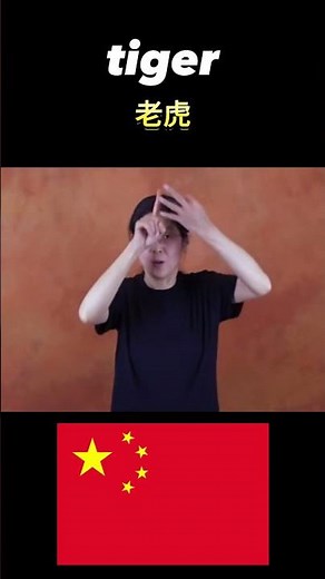 [World Sign Languages] How to Sign 'Lion' & 'Tiger' in 5 Different Countries
