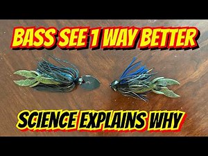 Large Mouth Bass Vision: What do largemouth bass see