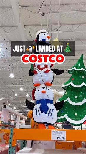 474 reactions · 4 comments | Costco just dropped the Stacked Penguins with Tree & LED Lights for $199.99, and it’s a holiday showstopper. Bright, festive, and adorable, this décor piece is perfect for lighting up your yard or entryway—share with a friend who loves Christmas displays! #costcofinds #costcowonders #costcoinfluencer #costco #holidaydecor #costcochristmas #costcoseasonal #penguinsdecor #costcoday #festivedecor | Costco Wonders | Facebook