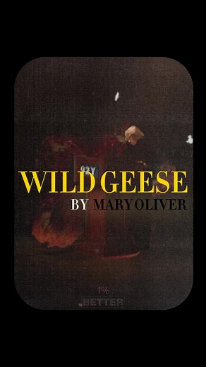 Wild Geese: A Poetic Reading by Mary Oliver