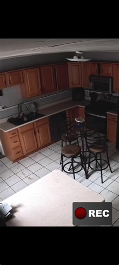 UFO 👽..//paranorm