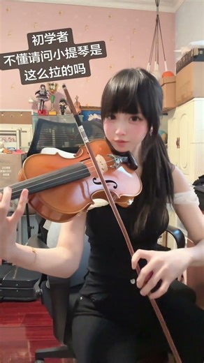 Master the Violin: A Beginner's Guide to Play Like a Pro