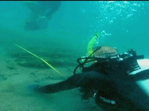 DISCOVERY: Have explorers found Sir Francis Drake's body?