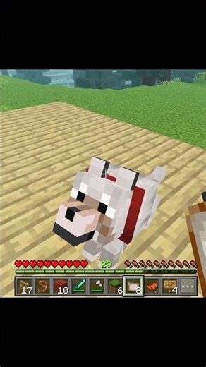 Wolf Broke Minecraft Rules 💀 #MinecraftShorts #FunnyMinecraft