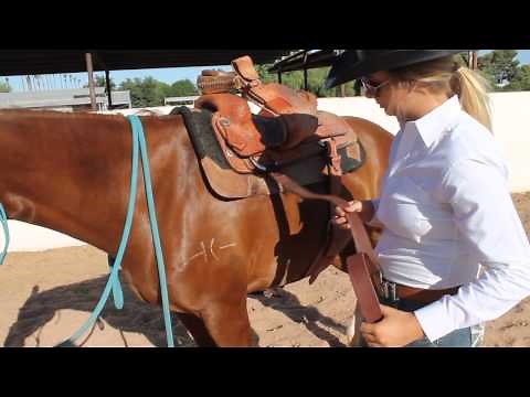 How to Correctly Cinch Your Horse