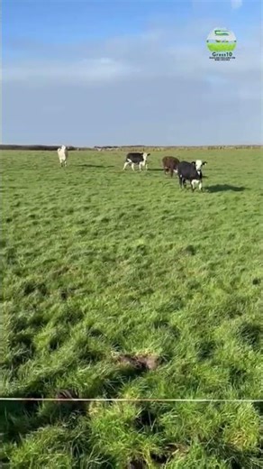 Drystock Workshop Highlights | Doonbeg, Co. Clare 🌱🌊