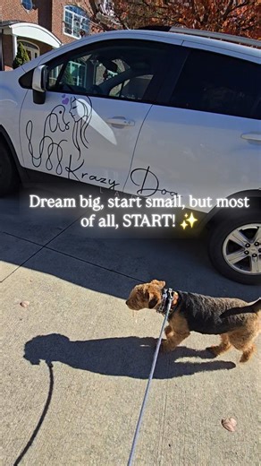 Remember when Krazy Dog Lady LLC was just an idea? 🤯 It's proof that anyone can turn their passion into a thriving business! Believe in yourself, take the leap, and never give up! 💪 Stop waiting for the 'perfect' moment! The best time to start a business is NOW. 🌱 With dedication and a positive mindset, you can achieve anything. What's stopping you? But seriously, if I can do it, ANYONE can! It's all about learning, growing, and never losing your passion. What's your crazy idea? Let's hear it