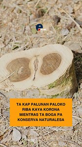 [ENews📢] A kap palunan riba Kaya Korona paloko entre otro palu di tamarein. #energiatv #notisiatransparente | Energia Tv Bonaire
