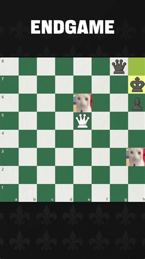 Wild Chess Endgame! | SkillShift