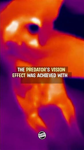 5 Predator Facts You Didn't Know