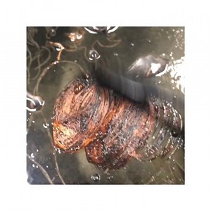 INTAGLIO SCREENPRINTING