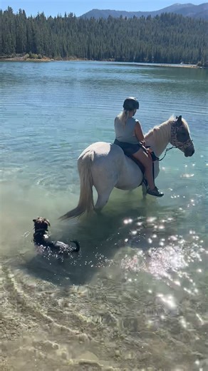 Sisu is such a great swimmer now. | Scout's Trail