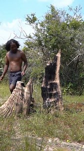 1M Dollars Skills! Brave Bushman Harvesting Beehive with Bare Handed and Eating Delicious | Primitive Unique Tool