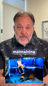 What Does A Water Filter Do? Your aquarium water filter is a silent hero, tirelessly performing three major functions to keep your aquatic friends healthy and happy. Just like the kidney and liver in our bodies, it strains out undissolved particles through mechanical filtration, a process as fascinating as it sounds. But that's not all, it also acts as a chemical filtration system, eliminating dissolved pollutants in the water, ensuring your fish are swimming in the cleanest environment possible