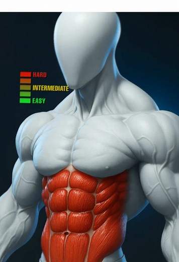 These ab exercises will test your strength. 🔥 #fitonomy #fitonomycoach #abworkout #coretraining