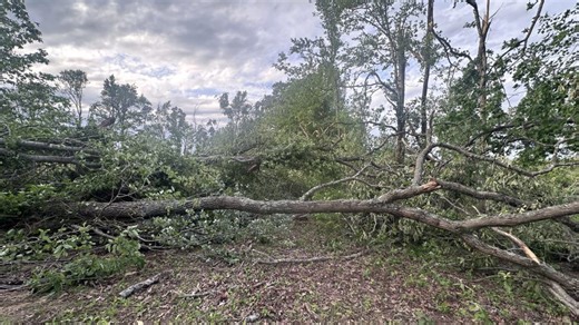 EF-1 tornado confirmed in Cleburne County