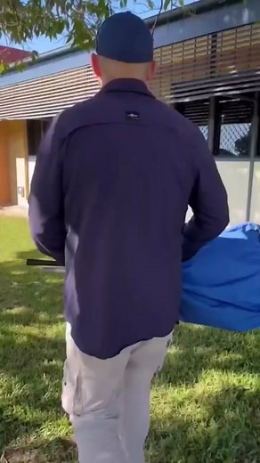 Climbing Brown Snake Caught on Video