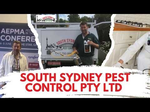 South Sydney Pest Control Pty Ltd - Sydney Pest Control Maroubra, NSW | Maroubra Pest Control
