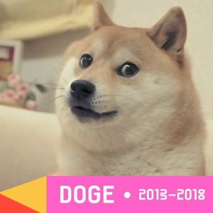 120K views · 715 reactions | In memory of every time the internet's meme culture made us smile. Stand up for the open internet and support creators opposing Article 13. #FixCopyright | Create.Refresh | Facebook