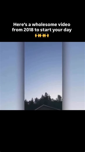 @historypillz on Instagram: "2018 Horizon Air Q400 incident (also known as the Seattle-Tacoma International Airport airplane theft). Richard Russell used his employee access badge to board an empty Horizon Air Q400 that was parked on a maintenance area. He started the engines by himself and taxied to a runway without authorization. At approximately 7:32 PM local time, he took off without clearance. Two F-15 fighter jets from the Oregon Air National Guard were scrambled to intercept the aircraft.