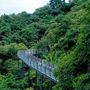 10K views · 274 reactions | Located in central #Hainan, Qiongzhong, honored as a "natural oxygen bar," is the core area of ecological protection in the tropical island province. #EcoFuture | China Plus Culture | Facebook