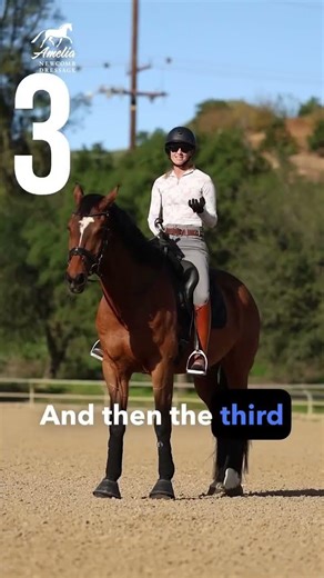 Don't Make These Riding Mistakes...