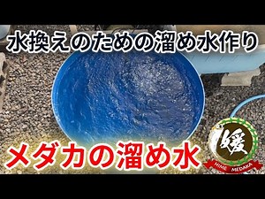 Making the ultimate water! A thorough explanation of the "magic water" that will make your medaka...