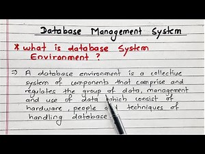 Database system environment in DBMS