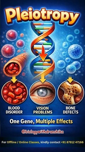 Pleiotropy — One gene, many outcomes.🧬#one #genetics #multiple #effects #biology #molecularbiology